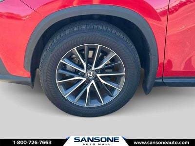 2024 Lexus NX 350 Base